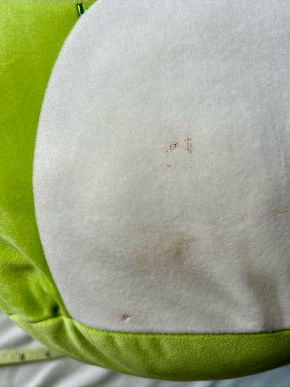 Squishmallows Ms Miss Cactus Cat 20 inch - Picture 6 of 6